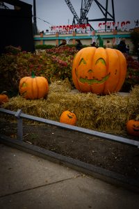 © 2025 Luisa Majcen