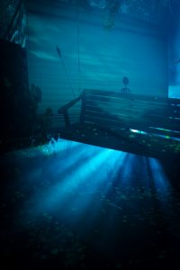 © 2025 Luisa Majcen